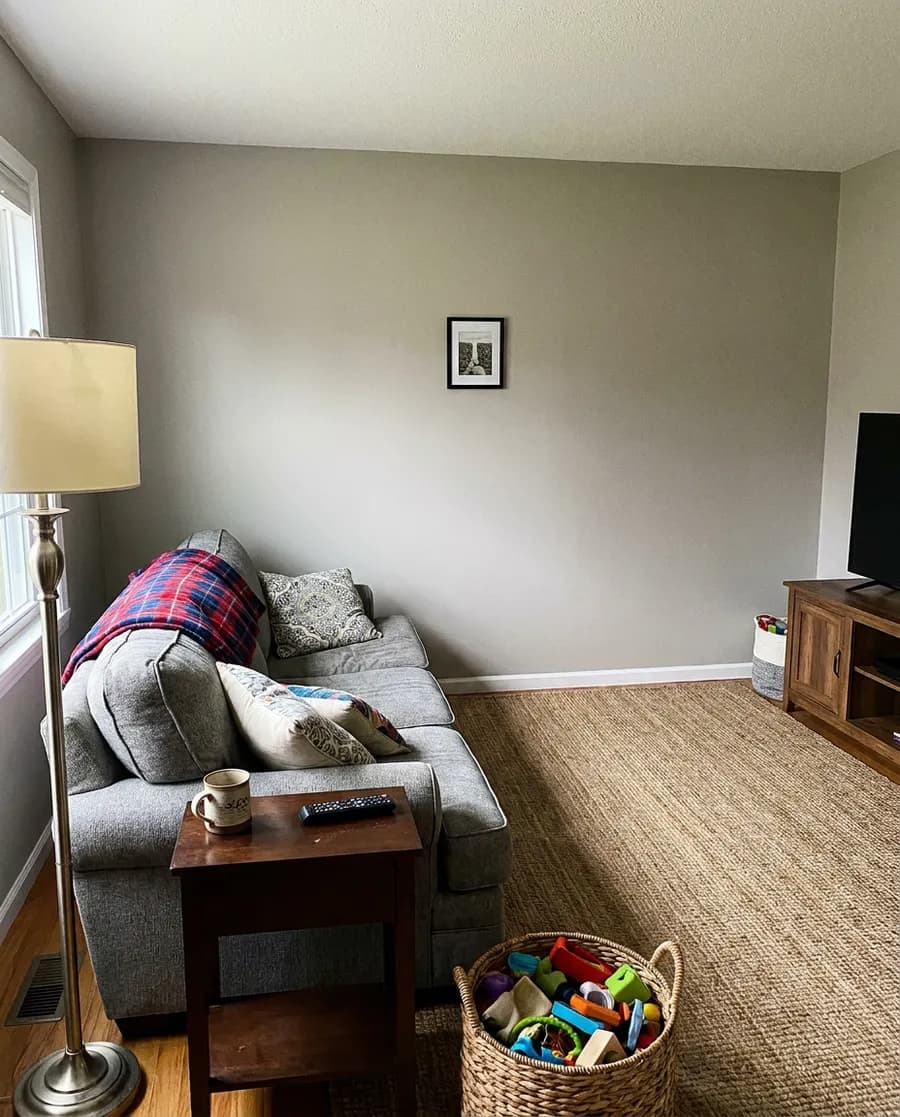 living room before
